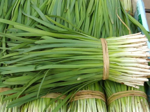 膠州人注意 韭菜買賣出新規(guī)，違規(guī)最高可罰20萬，農(nóng)產(chǎn)品安全再升級(jí)